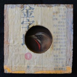 Eyes & Birds